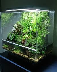 21 Best Aquascaping Design Ideas To Decor Your Aquarium Tips Inside Homelovers Aquarium Fish Tank Aquascape Aquarium Fish