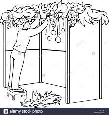 Un Vecteur Illustration Coloriage D Un Mec Juif Debout Sur Un Tabouret Et La Construction D Une Soucca Pour La Fete Juive De Souccot Image Vectorielle Stock Alamy