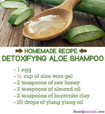Detoxifying Homemade Aloe Vera Shampoo Recipe Beautymunsta Free Natural Beauty Hacks And More Aloe Vera Shampoo Aloe Vera Skin Care Shampoo Recipe