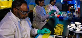 Forensic accountants detect financial fraud for insur. Forensic Science Degree Online Top Institutions For Earning Your Degree