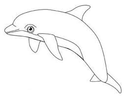 Coloriage Dauphin A Colorier Jpg 636 497 Coloriage Dauphin Dauphin Dessin Coloriage