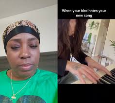 Shay Thompson Bird Video