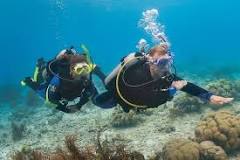 Image result