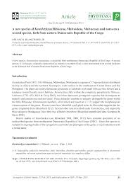 Image result for Kosteletzkya grantii