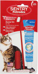 sentry petrodex veterinary strength malt toothpaste dental care kit for cats chewy com toothpaste dental pet dental care