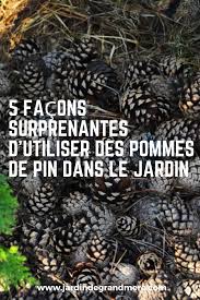 Epingle Sur Jardin