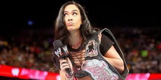 10 Biggest Reasons AJ Lee Quit WWE