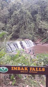 Air terjun mahua (mahwa waterfall) mula dibuka untuk kunjungan orang ramai pada jun 2003. Tarikan Tiga Air Terjun