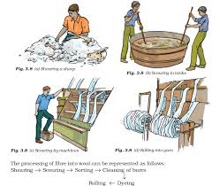 Or the corpse was made from foam, latex and camel hair. Fibre To Fabric Ncert Class 7 Science