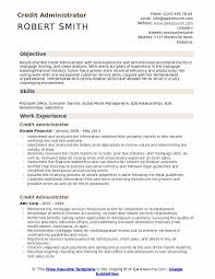 credit administrator resume samples