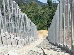 Welcome to the world of privilege. Pusat Pemuliharaan Harimau Jadi Tarikan Baharu