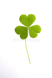 Cloverleaf school, cloverleaf apartments, cloverleaf pizza, cloverleaf schools, the cloverleaf, cloverleaf local, cloverleaf tavern, cloverleaf local schools. Cloverleaf A Vibrant Three Leaved Clover Leaf Sponsored Vibrant Cloverleaf Leaved Business Cards Diy Templates Stock Photography Free Stock Images