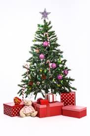 Dudaacvt 10x10ft christmas backdrop xmas tree christmas balls white wood floor photography backdrop christmas backdrops for photography photo backdrops. 12 000 Christmas Tree White Background Pictures