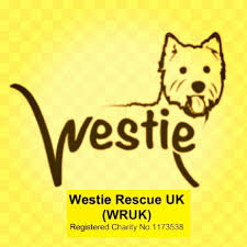 We're still rehoming, but we're doing things a little differently. Westie Rescue Uk Wruk Reg Charity 1173538 Home Facebook