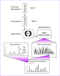 Tct Gc Ms System Used For Accelerant Identification