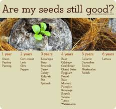 How To Store Seeds For Years Sow True Seed Storage Tips
