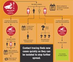 Ebola virus can survive on dry surfaces, like doorknobs and countertops for several hours; Infographics Illustrations Communication Resources Ebola Ebola Virus Disease Cdc