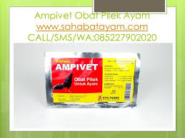 Pin Di Wa O85 227 9o2o2o Terkini Importir Obat Cekrek Ayam Broiler Alami Malang