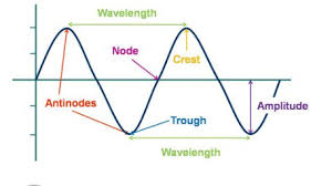 When we pull a thread in upward direction the formation and propagation of the waves are possible because entire. 10 Differences Between Longitudinal And Transverse Waves With Examples Similarities Viva Differences