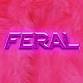 Feral event image