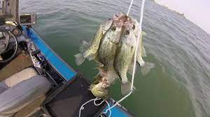 Walmart.com has been visited by 1m+ users in the past month California Crappie Fishing For Big Slabs With Swimbaits Youtube