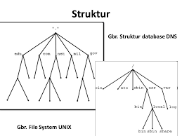 Domain ditentukan berdasarkan kemampuan yang ada di struktur hirarki yang disebut level yang terdiri dari : Dns Server Oleh Oman Somantri S Kom Ppt Download