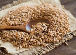 Scoprite subito come realizzare ricette con pasta gustose e sane, perfette per le vostre cene in compagnia o i vostri pranzi in ufficio. Scopri Come Cucinare Il Farro Fitness Italia