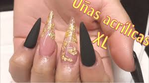 Uñas encapsuladas con flores naturales. Unas Acrilicas Negras En Matte Decoradas Con Hoja De Oro Youtube