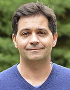 How Do Plant Diseases Caused by Xylella fastidiosa Emerge?