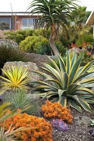Gardens By Gabriel San Luis Obispo Landscapes And Design California Central Coast E Succulent Landscape Design Succulent Landscaping Landscaping With Rocks