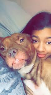 MISSING in Marysville area. She's not wearing a collar because my other dog  pulled it off. About 50-60 lbs.