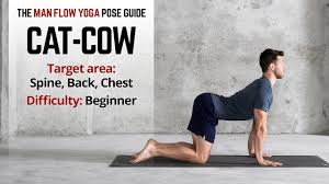 It stretches the back torso and neck the spinal movement of the two poses stimulates the kidneys and adrenal glands. Cat Cow Man Flow Yoga Pose Guide