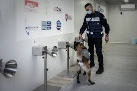 Le passeport vaccinal en débat. Les Infos De 6h30 Coronavirus Pourquoi Les Chiens Renifleurs Ne Sont Pas Plus Sollicites