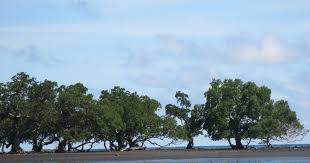 Anak smp ngentot sebelum berangkat sekolah. Tata Ibadah Paskah Ii Gki Tp 22 April 2019 Dear Pelangi
