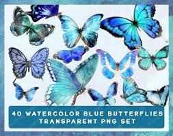 Patterns are saved as jpg images and png with transparent background. 40 Watercolor Butterflies Blue Set Bundle Transparent Blue Butterfly Watercolor Watercolor Butterfly Set Bundle Pastel Butterfly Merch Roll