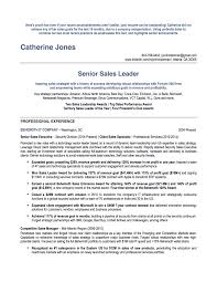 best sales resume  thrive! resumes