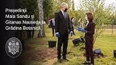 Președintele republicii moldova, maia sandu, în discuție cu diaspora de la roma. DeclaraÈ›ii De PresÄƒ Comune Ale PreÈ™edinÈ›ilor Maia Sandu È™i Frank Walter Steinmeier Youtube