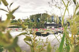 And a space like this is always dynamic. Liko Noe Liko S Archello