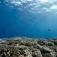Manza 3 boat dives (6 spots left) +AOW event image