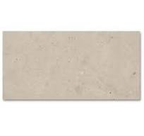 Earth Beige Matt 300x600