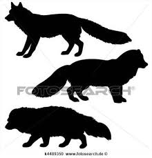 Pin Auf Schattenbilder