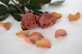 Maybe you would like to learn more about one of these? How To Make Perfume From Ingredients Found In The Garden The Hip Horticulturist