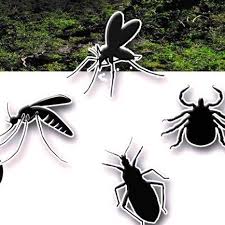 Vectores