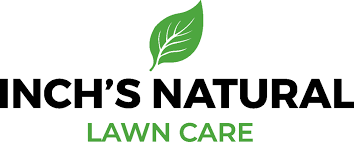 The drainage in south florida, especially in the keys, is not ideal for pest, disease or fungal. Grow Tips Inch S Natural Lawn Care