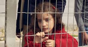 The nominees for short film (live action) are: Oscar Nominated Live Action Shorts Review The Present For The Win That Shelf