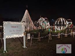 You can park and watch the show from your car or get out and walk around. Lake Myra Christmas Lights In Wendell Raleigh Tot Spots