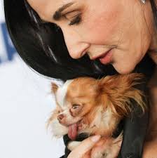 Lo mejor de los Spirit Awards fue...