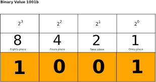 Binary Lesson 2 Place Value Delightly Linux