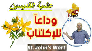st john s wort عشبة القديس يوحنا عشبة القديسين الفوائد والمحاذير والجرعات ازاي تختار صح youtube in 2021