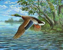 Mallard Pintura Em Telas Paisagem Animais Ferozes Fotos De Animais
